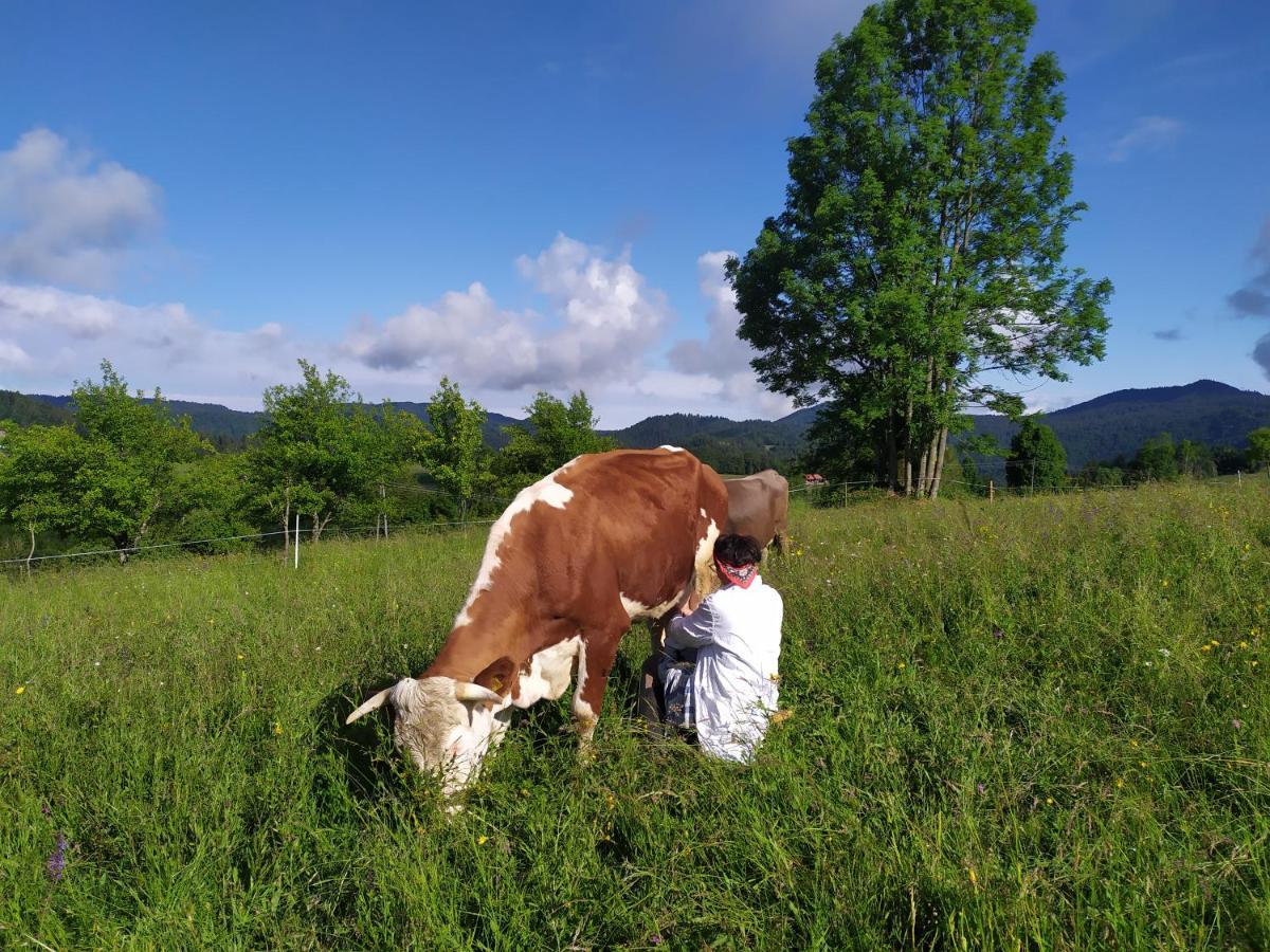 Tourist Farm Strle With Great Local Food Villa Cerknica Bagian luar foto