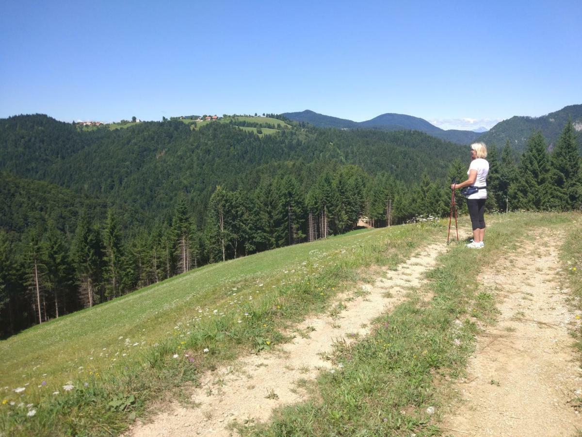 Tourist Farm Strle With Great Local Food Villa Cerknica Bagian luar foto