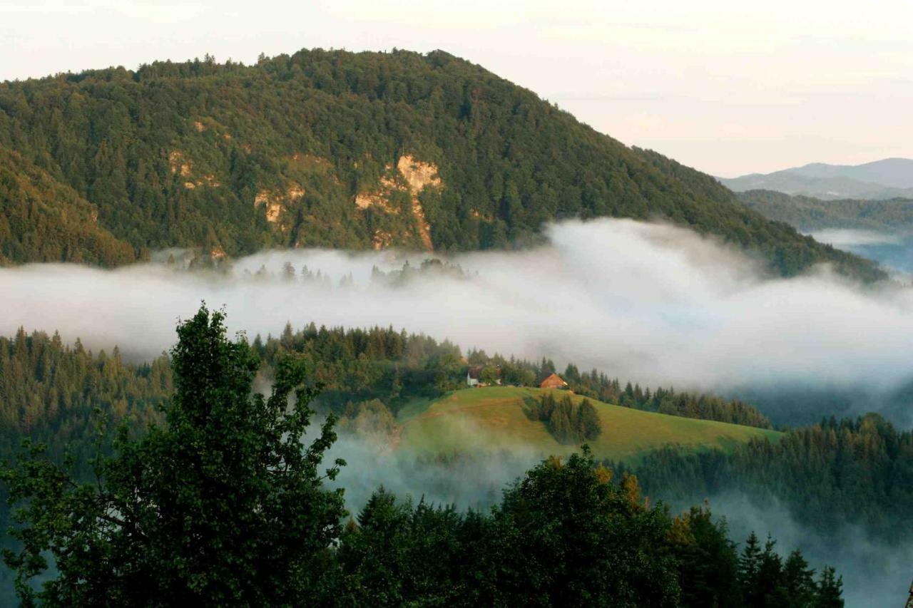 Tourist Farm Strle With Great Local Food Villa Cerknica Bagian luar foto