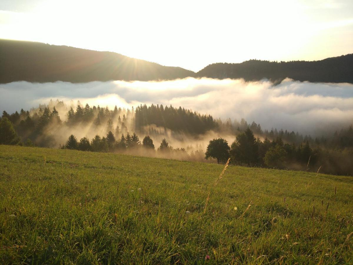 Tourist Farm Strle With Great Local Food Villa Cerknica Bagian luar foto